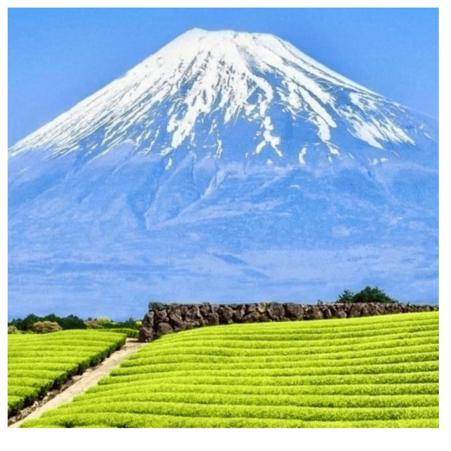 “Tokyo to Mt. Fuji & Hakone: Private Customizable Day Trip” - Price and value: what you’re really paying for