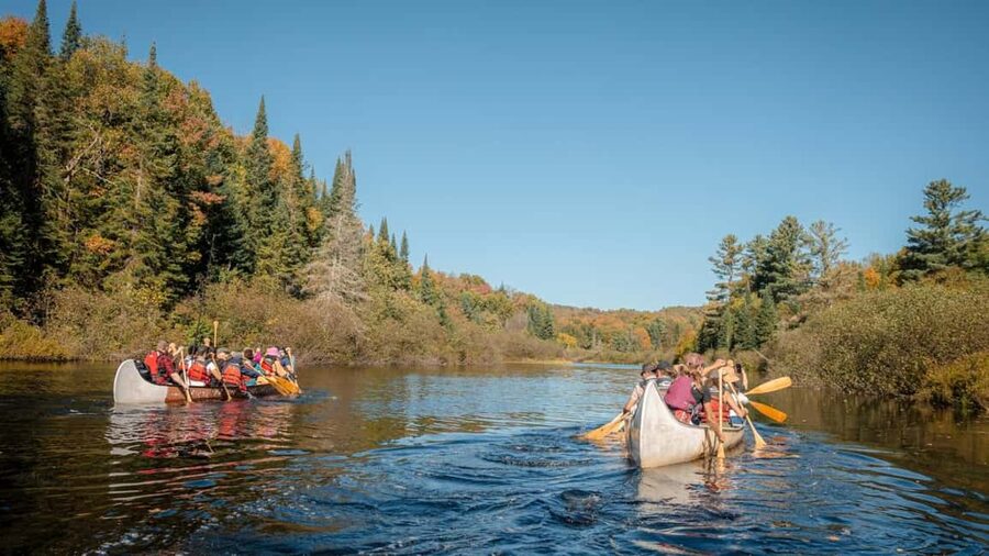 Toronto: Algonquin Park and Ragged Falls Day Trip - Huntsville break: a mental reset before the big nature stops