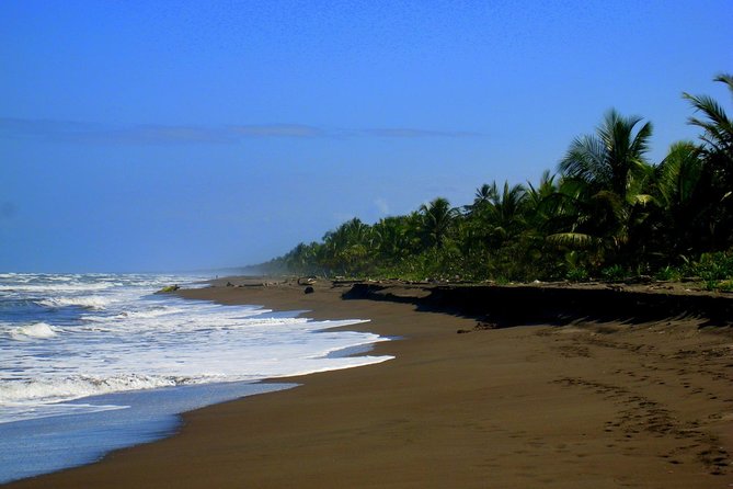 Tortuguero National Park and Canals Day Trip from San Jose - River-boat cruise in Tortuguero: where wildlife spotting becomes the whole game