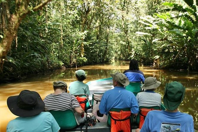 Tortuguero National Park and Canals Day Trip from San Jose - Breakfast and Caribbean lunch: included fuel that actually matters on this route