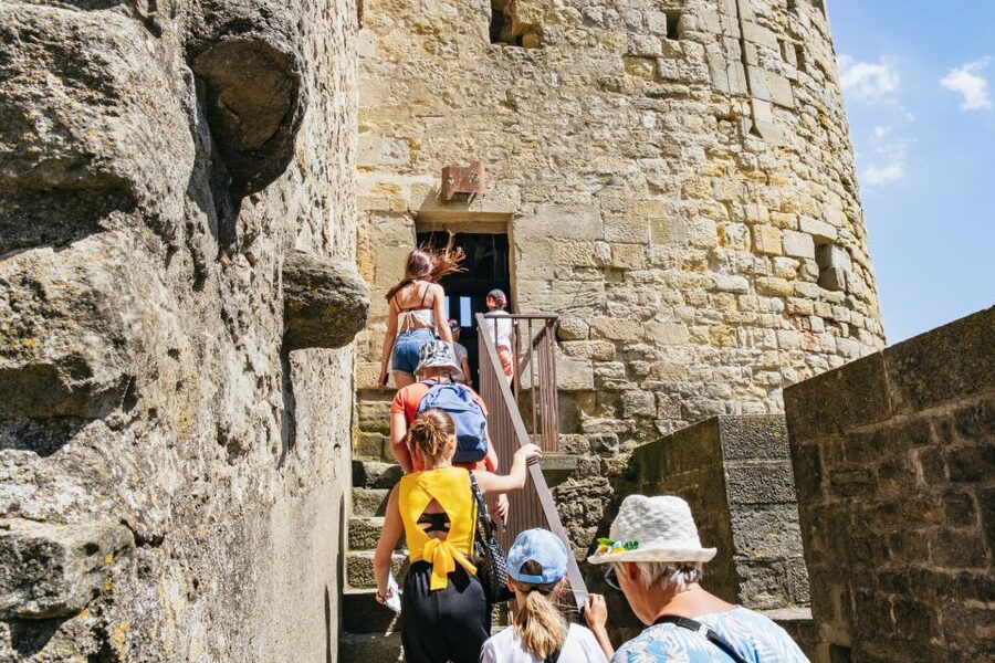 Toulouse: Carcassonne Day Trip by Coach with Audioguide - Should You Book This Toulouse to Carcassonne Coach Tour?