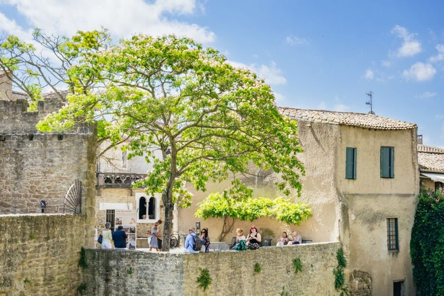 Toulouse: Carcassonne Day Trip by Coach with Audioguide - Audio Guide Setup: Get It Working Before You’re There
