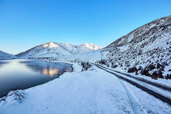 TranzAlpine Train, Arthur's Pass and Castle Hill Day Trip - Christchurch to Otira Viaduct: Kea, Rata, and a Fast Start