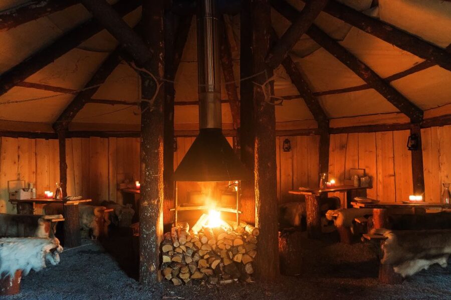 Tromsø: Reindeer Sled, Dinner, and Chance of Northern Lights - Key highlights you’ll remember
