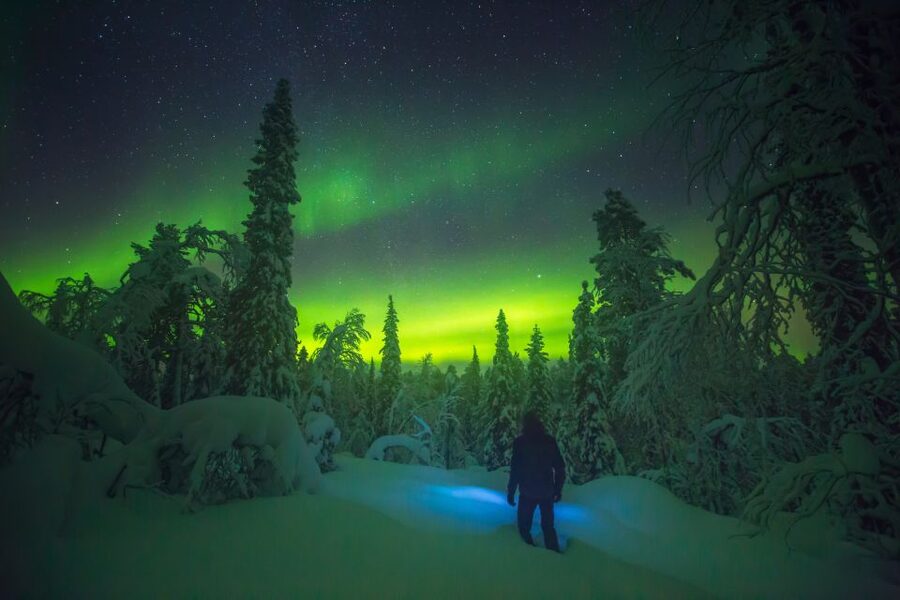 Tromsø: Reindeer Sled, Dinner, and Chance of Northern Lights - Price and value: what you’re paying for (and why it feels fair)