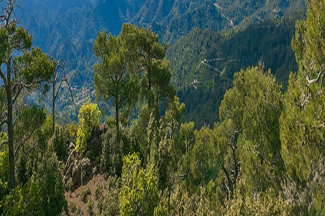 Troodos Peaks & Mountain Flavors Day Tour from Paphos - Omodos and Timios Stavros Monastery: bread, shops, and a free hour