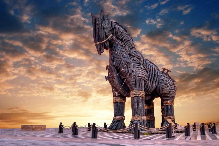 Troy: Full-Day Tour from Istanbul - Key things that make this Troy tour work