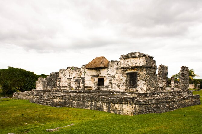 Tulum and 2 Cenotes Half Day Tour from Riviera - Price and value: $29 plus what Tulum entry costs