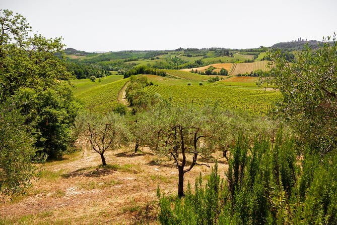 Tuscany Day Trip from Florence: Siena, San Gimignano, Pisa and Lunch at a Winery - Meeting at Santa Maria Novella and the early-coach rhythm