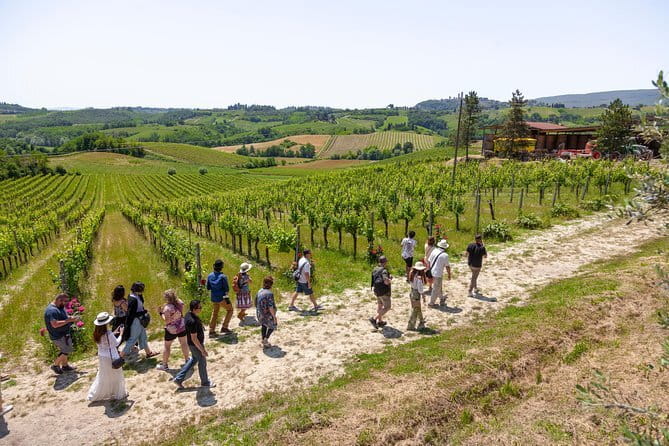 Tuscany Day Trip from Florence: Siena, San Gimignano, Pisa and Lunch at a Winery - Who this Tuscany day trip is best for (and who should skip it)