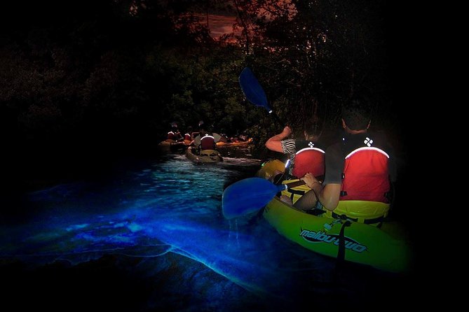 Two-in-One Day Trip: El Yunque and Bio Bay Tour with Transport - Key things that make this tour worth your attention