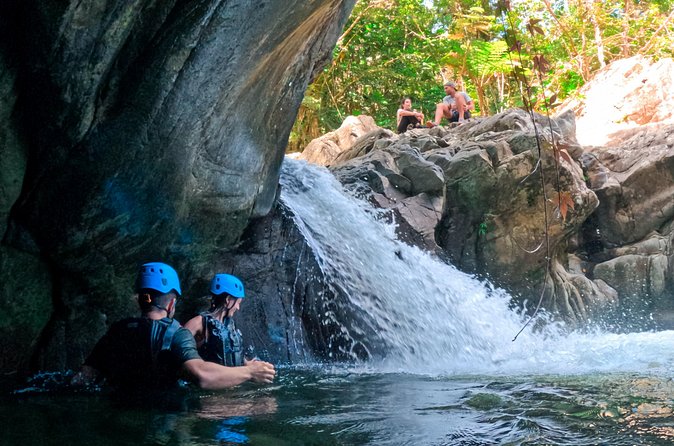 Two-in-One Day Trip: El Yunque and Bio Bay Tour with Transport - El Yunque National Forest: hikes, rivers, and plant info