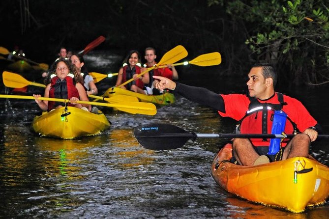 Two-in-One Day Trip: El Yunque and Bio Bay Tour with Transport - The water playground at El Yunque: slides, ropes, and jumps