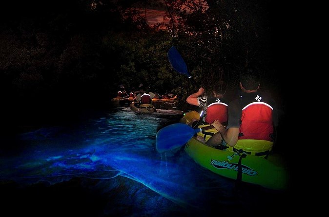 Two-in-One Day Trip: El Yunque and Bio Bay Tour with Transport - The break and dinner stop: recovering before the night paddle