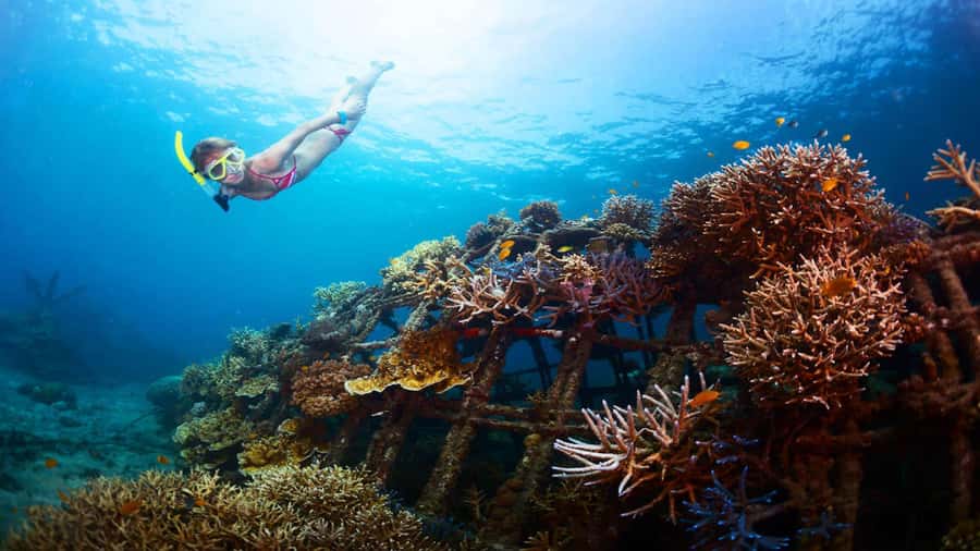 Ubud: Tegenungan Waterfall, Snorkeling, and Canyoning Tour - The Water-Day Flow: Snorkeling, Waterfall, Canyon