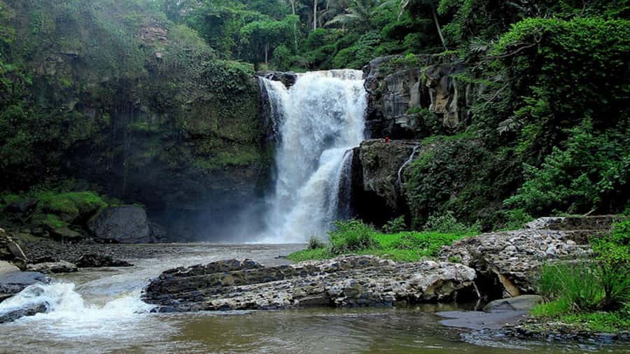 Ubud: Tegenungan Waterfall, Snorkeling, and Canyoning Tour - Beji Guwang Hidden Canyon Canyoning: Trek, Wade, Jump