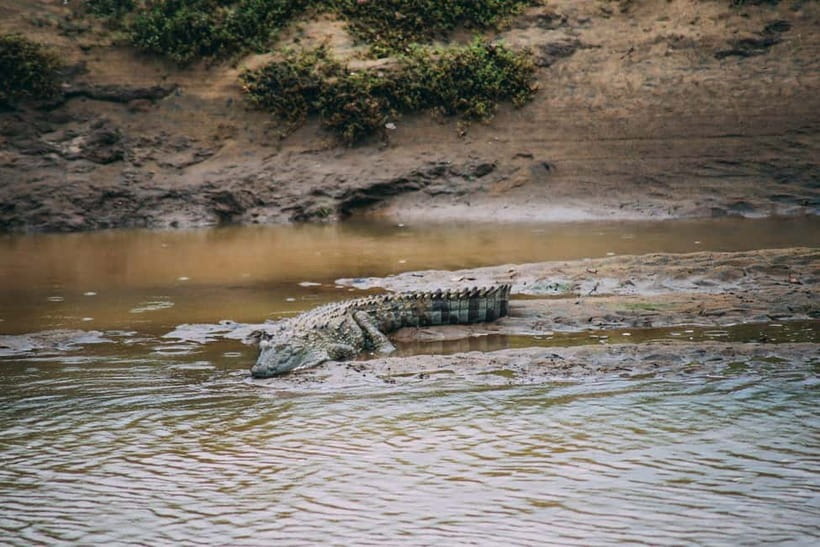 Udawalawe Safari Private Day Trip with Lunch - All Inclusive - What to Expect Day-Of: A Realistic Timeline
