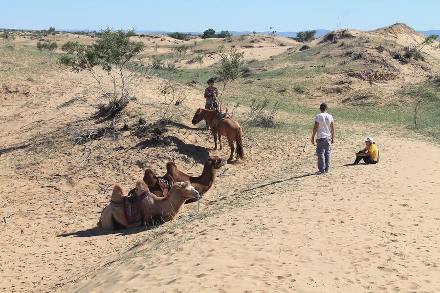 Ulaanbaatar: Semi-Gobi Desert Day Trip & Camel Ride - What to pack and how to handle all-weather desert days