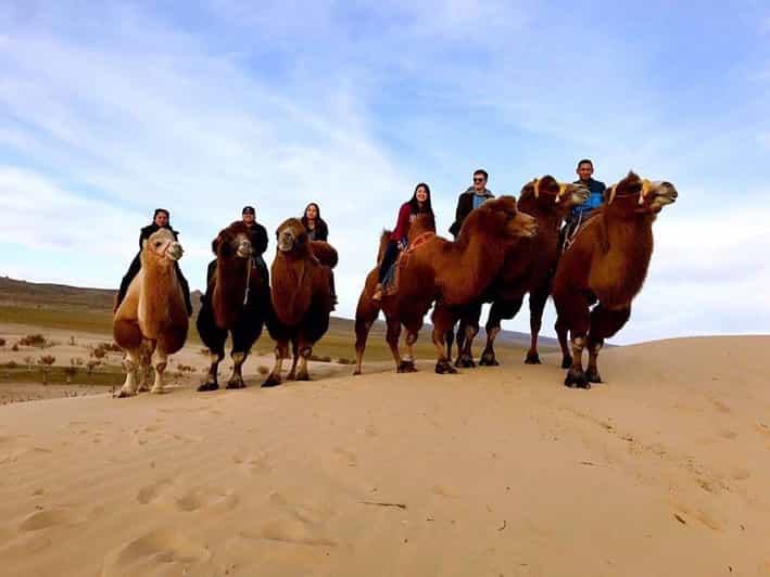 Ulaanbaatar: Semi-Gobi Desert Day Trip & Camel Ride - Elsen Tasarkhai: the Semi-Gobi that fits a long day from Ulaanbaatar