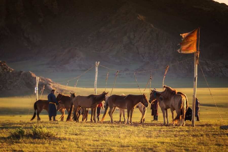 Ulaanbaatar: Semi-Gobi Desert Day Trip & Camel Ride - Meeting a local nomad family in their Ger
