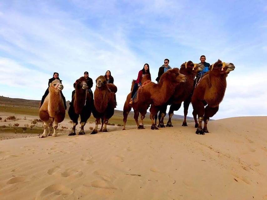 Ulaanbaatar: Semi-Gobi Desert Day Trip & Camel Ride - Guides and driving: when the day depends on a good team