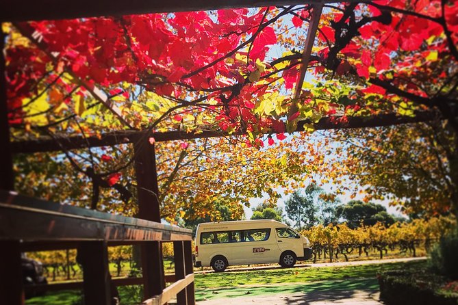 Ultimate Swan Valley Food and Wine Day Trip from Perth - Tips to make your day smoother (and tastier)