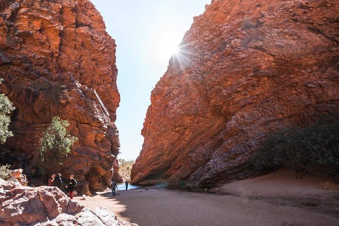 Uluru (Ayers Rock) Base and Sunset Half-Day Trip with Opt Outback BBQ Dinner - Optional Outback BBQ dinner under the stars: what you gain