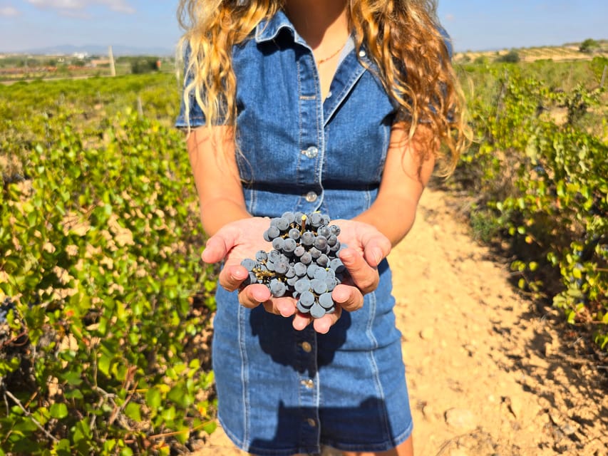 Valencia: Utiel-Requena Cave & Winery Day Trip with Tasting - Key things that make this Utiel-Requena day trip worth it