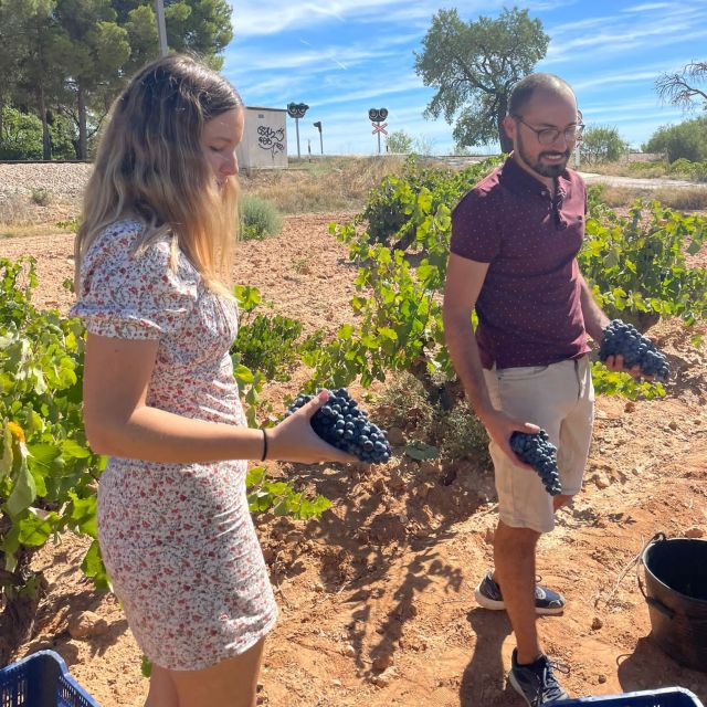 Valencia: Utiel-Requena Cave & Winery Day Trip with Tasting - Valencia to Utiel-Requena: a day that stays pleasant