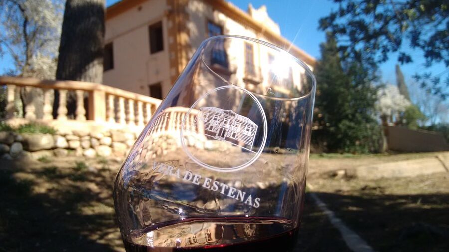 Valencia: Utiel-Requena Cave & Winery Day Trip with Tasting - Seasonal surprises: grapes on the vine and grape treading