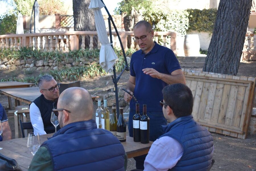 Valencia: Utiel-Requena Cave & Winery Day Trip with Tasting - Price and value: is 128 dollars fair for this much wine time?
