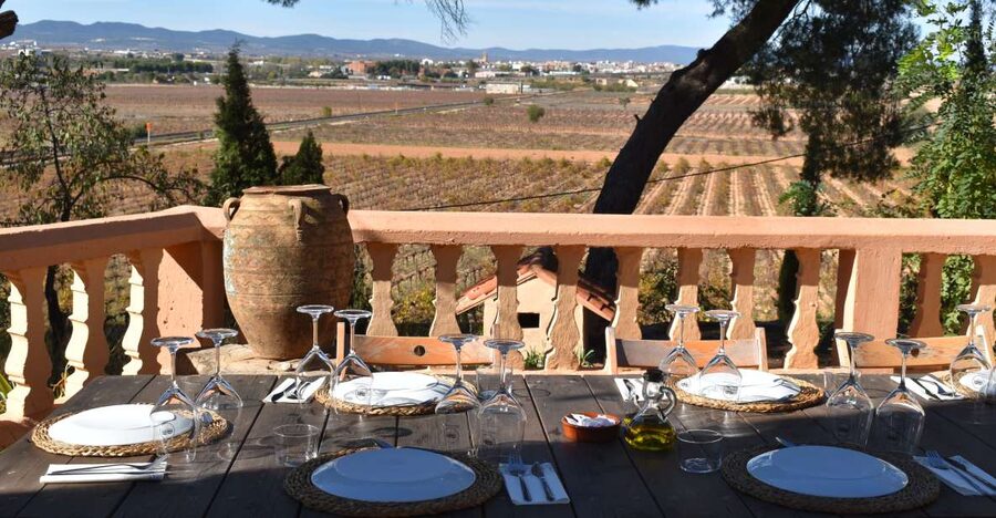 Valencia: Utiel-Requena Cave & Winery Day Trip with Tasting - Requena on foot: small town charm before the cellar