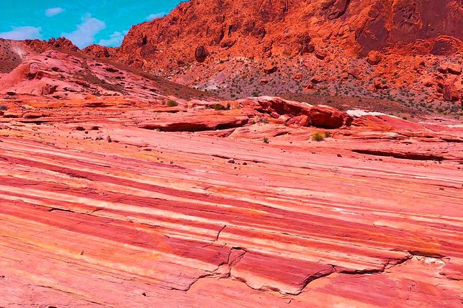 Valley of Fire State Park Day Tour from Las Vegas - Desert reality: what to pack so the day feels good