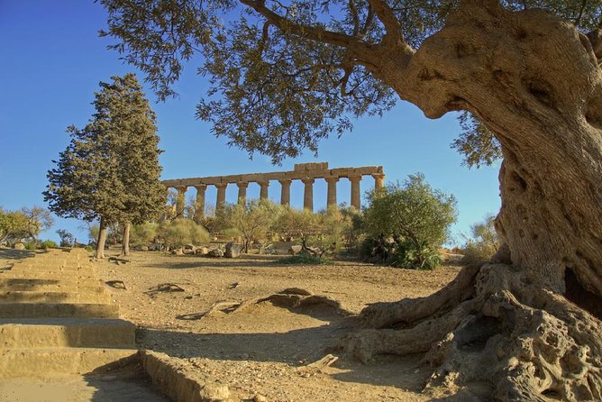 Valley of the Temples and Villa Romana del Casale Day Trip from Taormina - What it costs and why it still can be good value