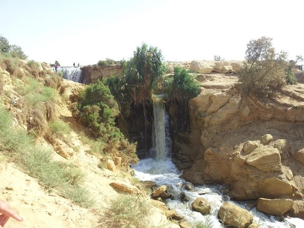Valley of Whales and Wadi El Rayan Water Falls Day Tour from Cairo - Key takeaways (what you’ll feel the most)