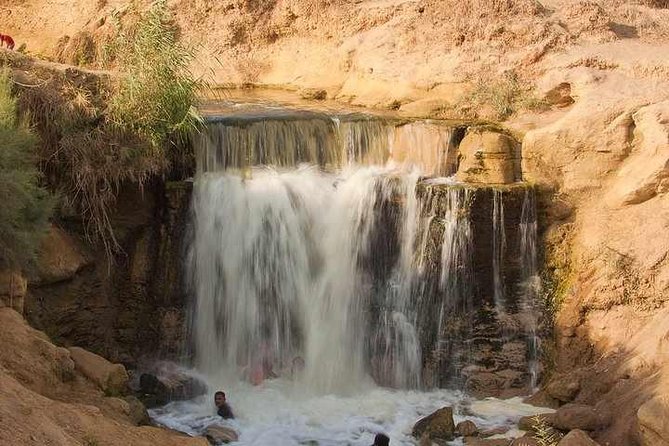 Valley of Whales and Wadi El Rayan Water Falls Day Tour from Cairo - Why Wadi El Rayan and Wadi Al-Hitan beat a typical Cairo excursion