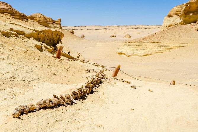Valley of Whales and Wadi El Rayan Water Falls Day Tour from Cairo - Wadi El-Rayan Waterfalls: Egypt’s highest falls and the two-lake system