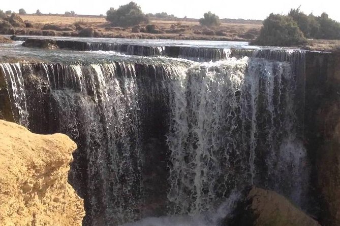 Valley of Whales and Wadi El Rayan Water Falls Day Tour from Cairo - Jeep safari in the dunes: the included ride that makes the day feel real