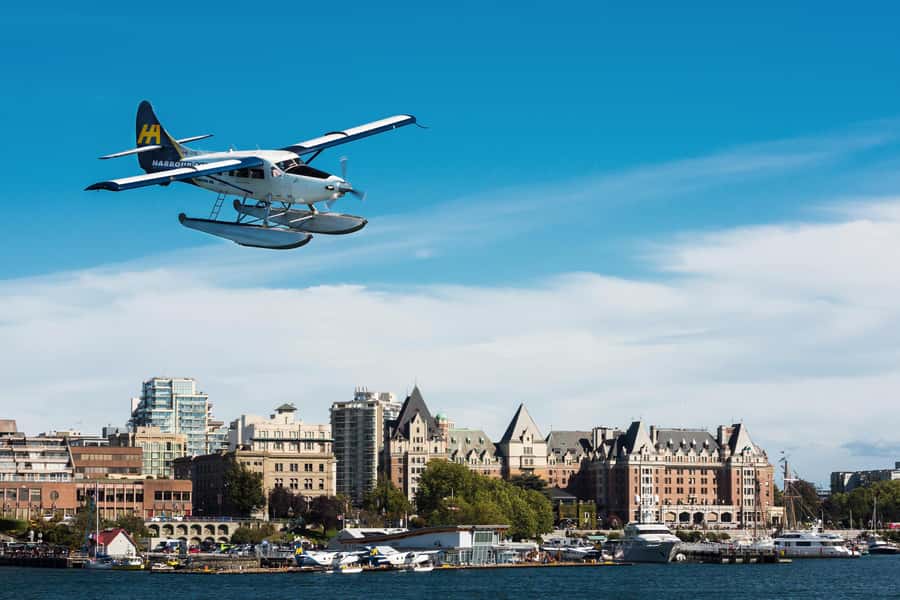Vancouver: Day Trip to Victoria Seaplane with Whale Watching - The Whale-Watching Half: Orca Spirit Adventures on a Zodiac or Covered Boat