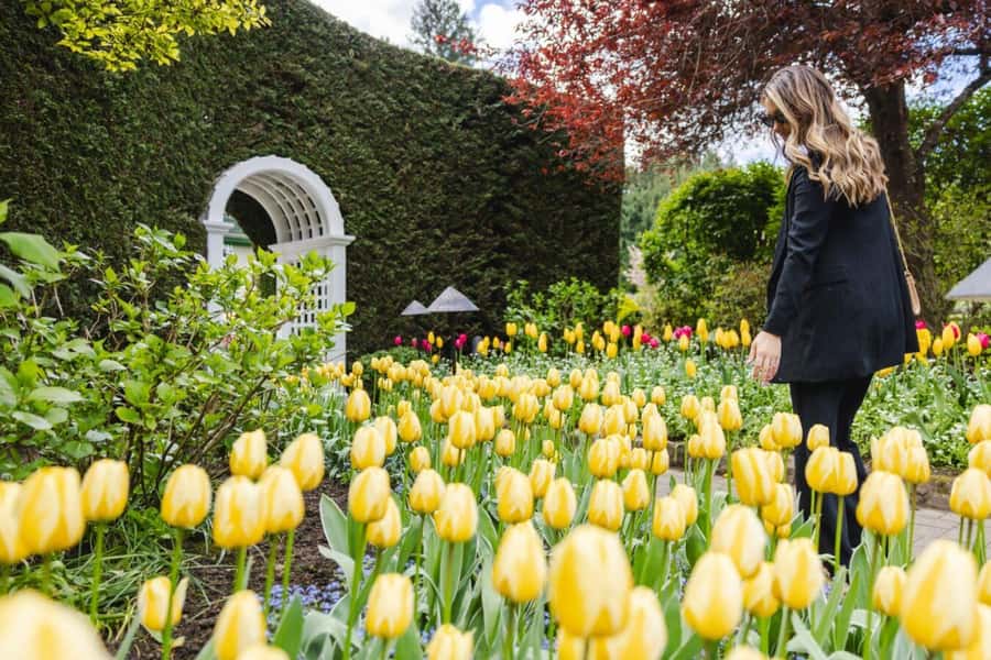 Vancouver to Victoria Seaplane Day Trip + Butchart Gardens - Downtown Victoria free time: use it like a local