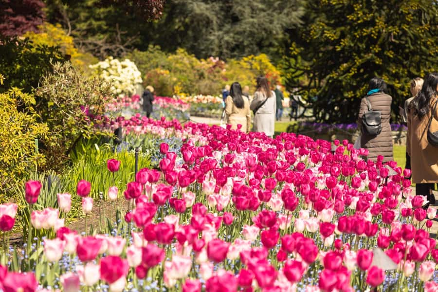 Vancouver to Victoria Seaplane Day Trip + Butchart Gardens - Who should book this, and who should think twice