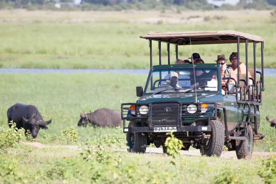 Victoria Falls: Chobe National Park Day Trip with Lunch - Lunch at the lodge: a buffet that keeps the day moving