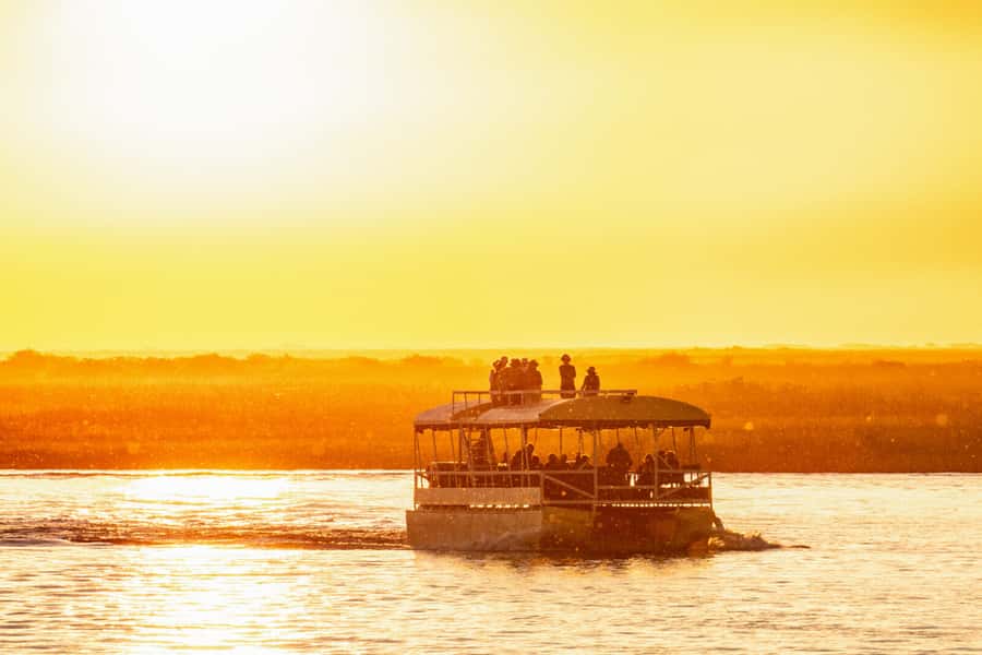 Victoria Falls: Chobe National Park Day Trip with Lunch - Chobe’s wildlife pattern: what you can plan for (and what you can’t)