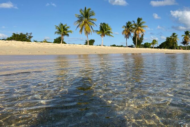 Vieques Bio Bay Tour and Beach Day Trip from San Juan by Ferry - San Juan to Ceiba ferry: the schedule you need to know