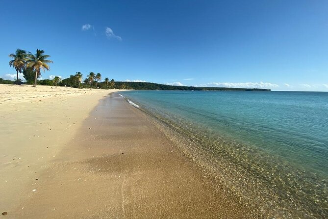 Vieques Bio Bay Tour and Beach Day Trip from San Juan by Ferry - Who this tour fits best (and who might want to stay overnight)