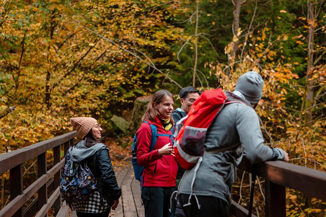 VIP Best Reviews: Bohemian & Saxon Switzerland from Prague - Czech Switzerland National Park and Lunch in Mezní Louka: The Meal Stop You’ll Actually Look Forward To