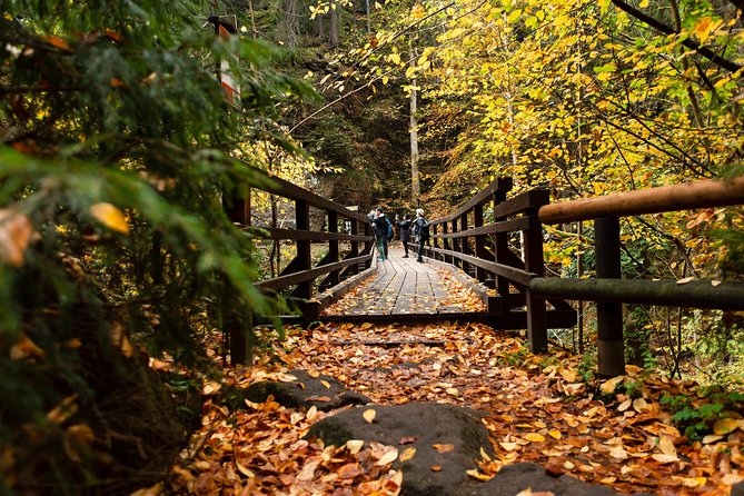 VIP Best Reviews: Bohemian & Saxon Switzerland from Prague - Tisá Rocks (Winter Only): The Narnia-Like Rock Labyrinth Walk