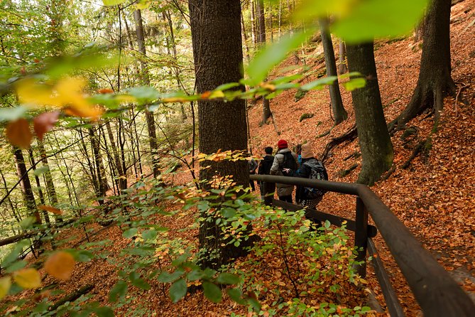 VIP Best Reviews: Bohemian & Saxon Switzerland from Prague - Wild Gorge / Kamenice River Gorges (Optional): When You Want Less Hiking