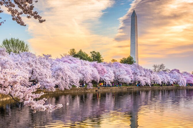 Washington DC Day Tour from New York City - 14 Hours of DC: How This One-Day Coach Plan Works