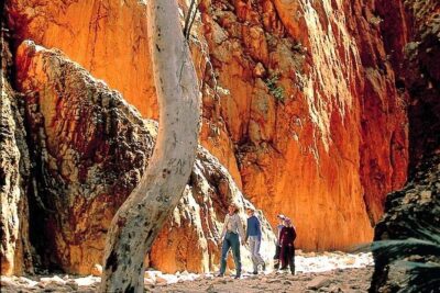 West MacDonnell Ranges Day Trip from Alice Springs - Private, air-conditioned comfort (and why it matters)